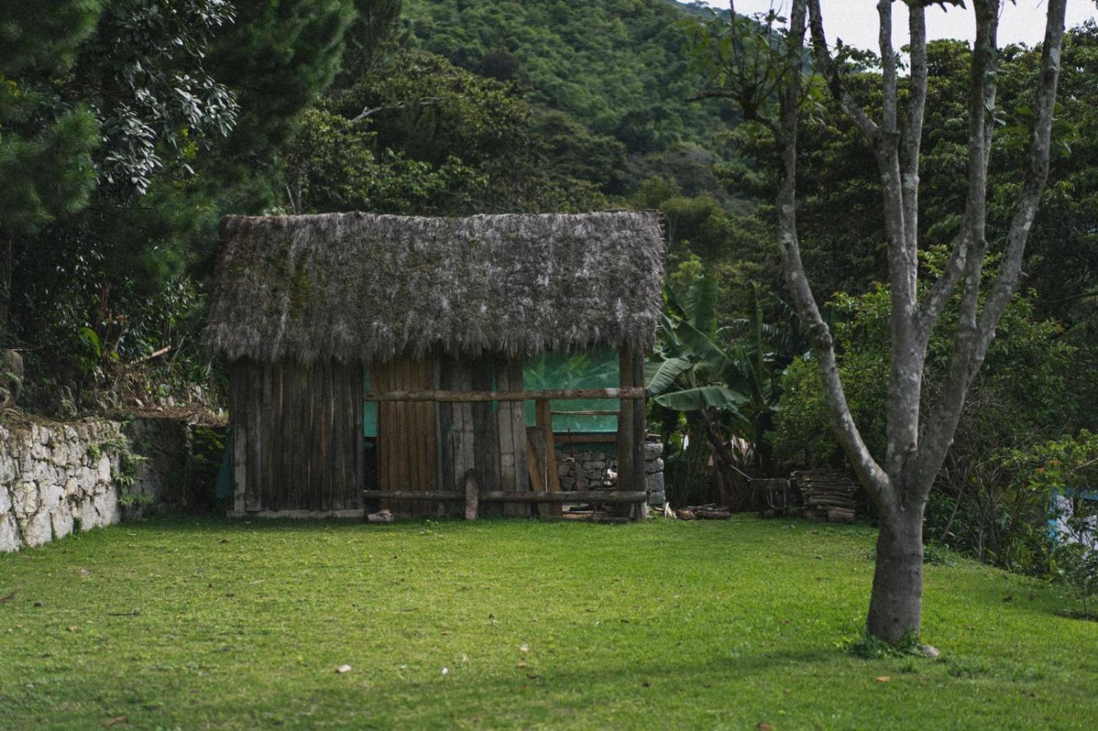 Lucmabamba Lodge Santa Teresa  Exterior photo